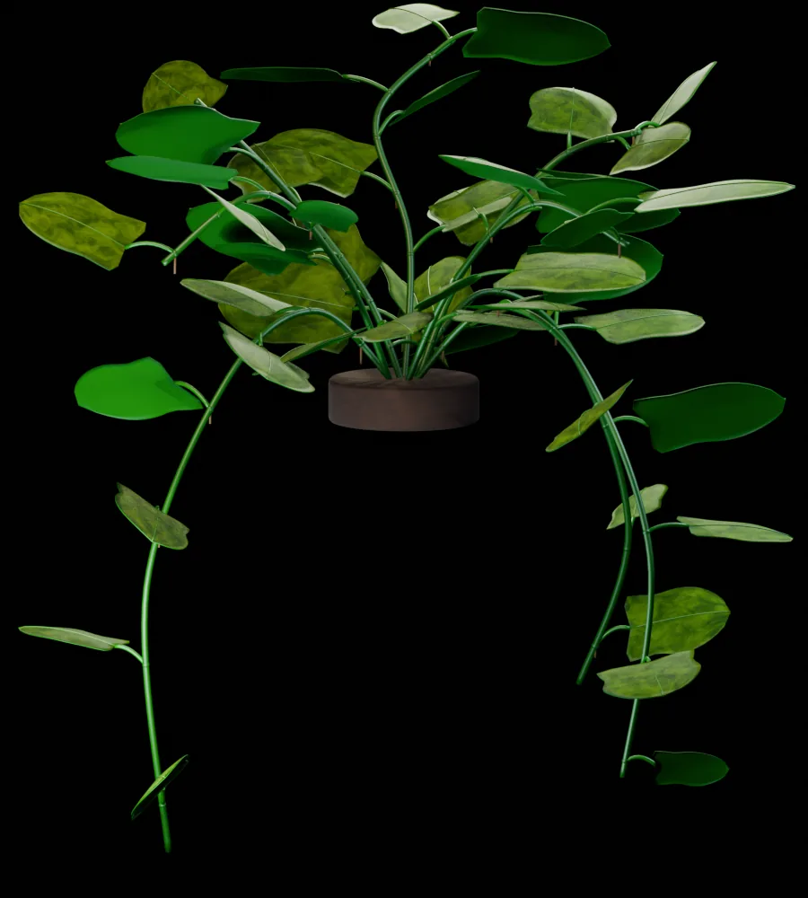 Silhouette evidence view showing the full golden pothos canopy, planter and trailing vines.